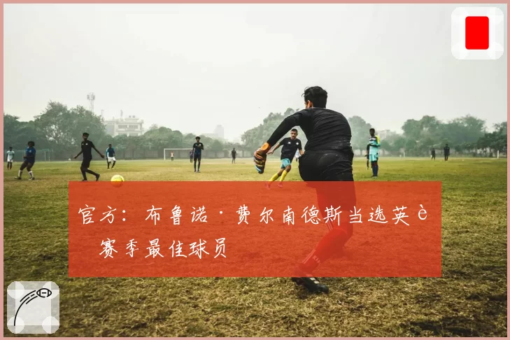 官方:布鲁诺·费尔南德斯当选英超赛季最佳球员