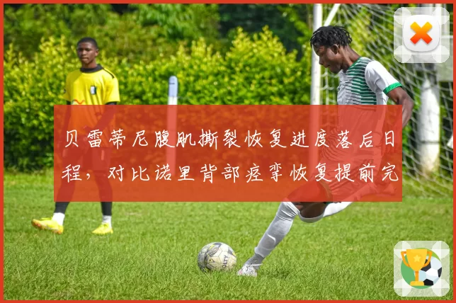 贝雷蒂尼腹肌撕裂恢复进度落后日程，对比诺里背部痉挛恢复提前完成，两人美网正赛资格争夺形势逆转
