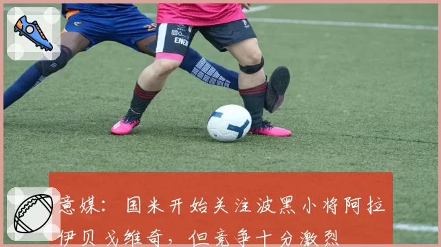 意媒：国米开始关注波黑小将阿拉伊贝戈维奇，但竞争十分激烈