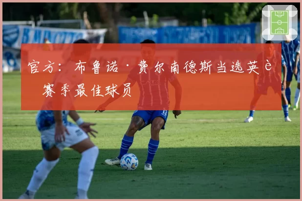 官方：布鲁诺·费尔南德斯当选英超赛季最佳球员