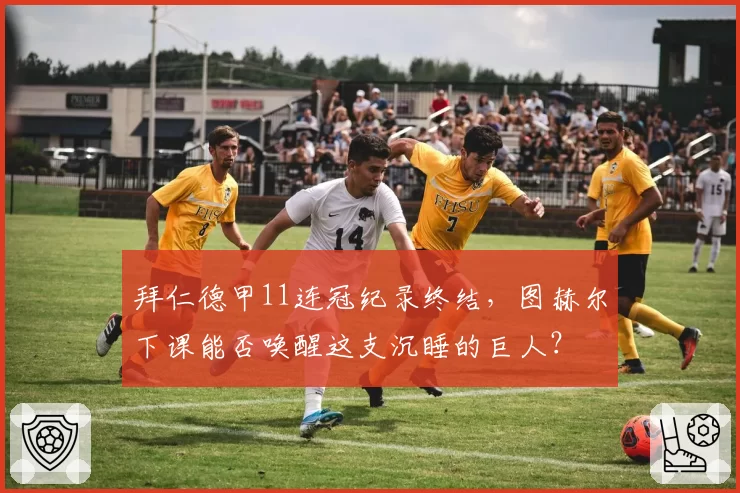 拜仁德甲11连冠纪录终结，图赫尔下课能否唤醒这支沉睡的巨人？